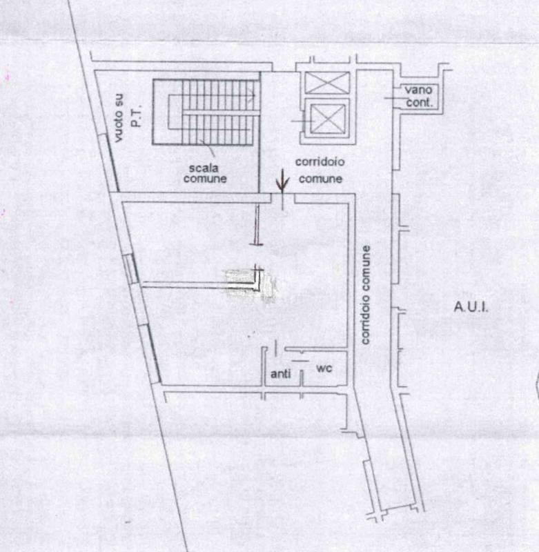  - foto 5