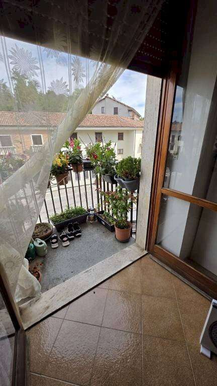  - foto 19