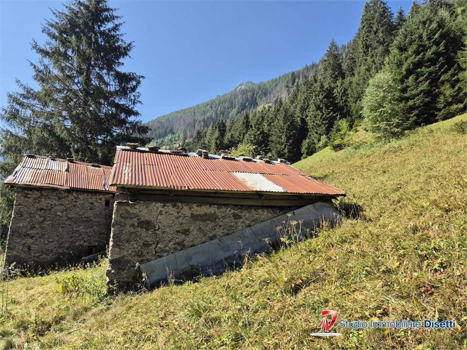  - foto 2