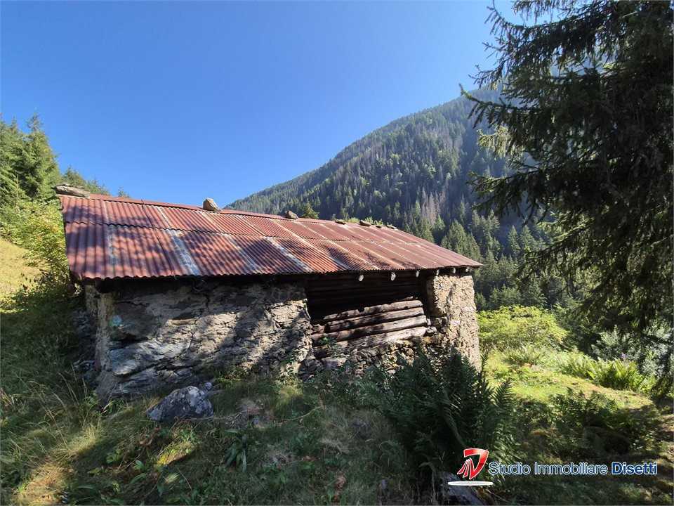  - foto 3