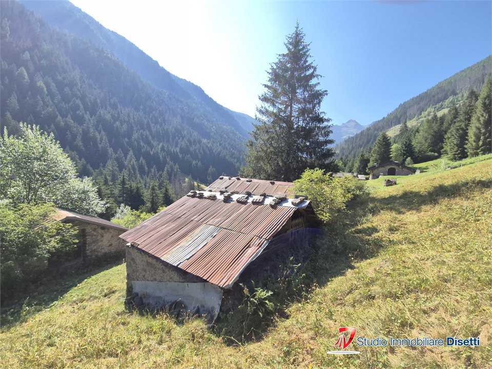  - foto 4