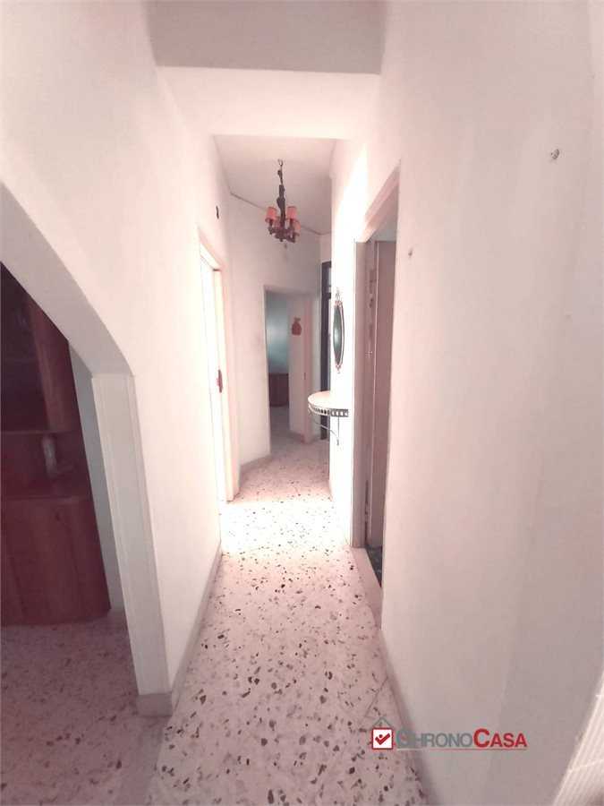  - foto 8