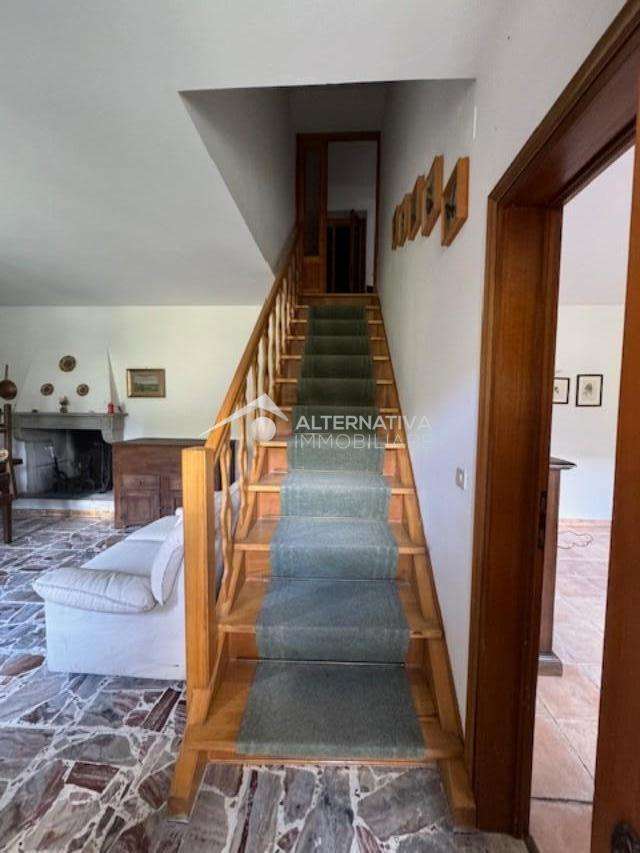  - foto 45