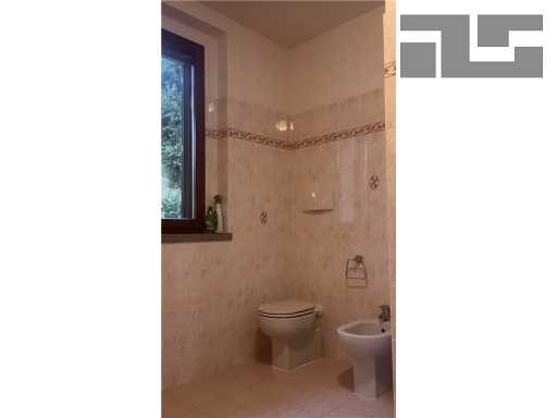  - foto 15