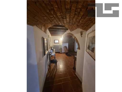  - foto 13