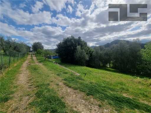  - foto 34
