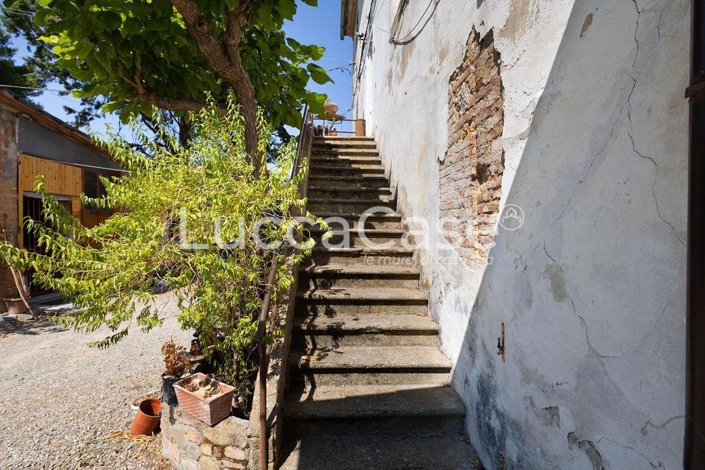  - foto 16