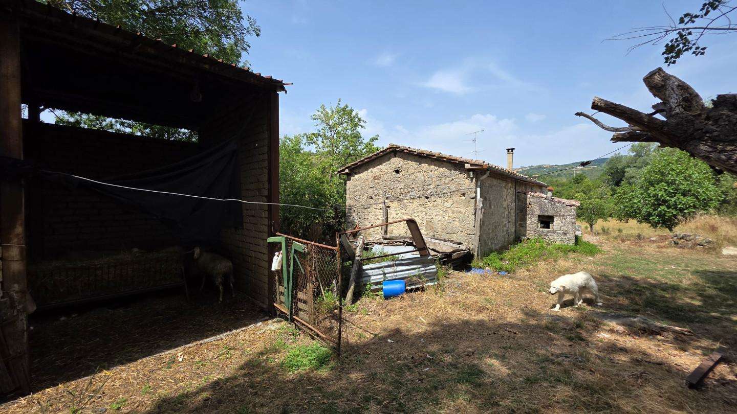  - foto 12