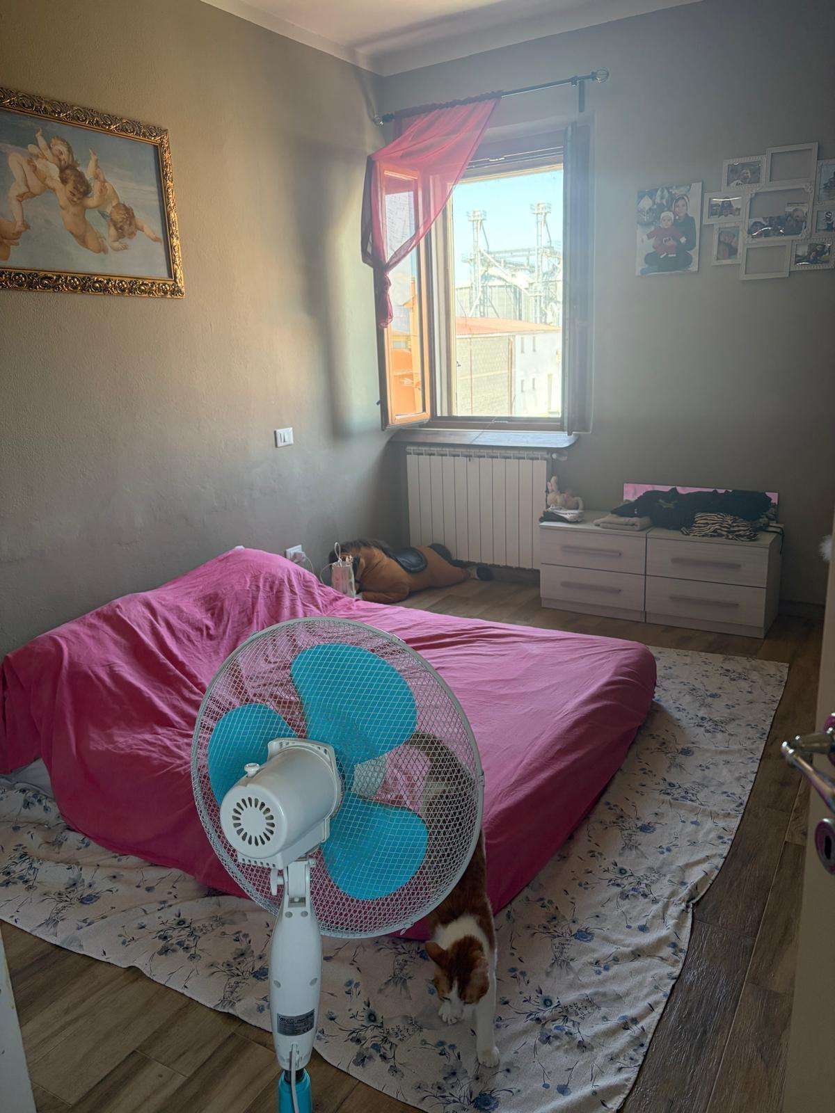  - foto 3