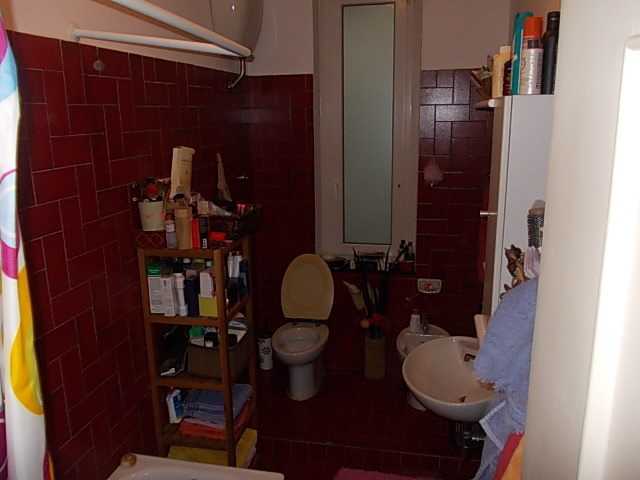  - foto 5