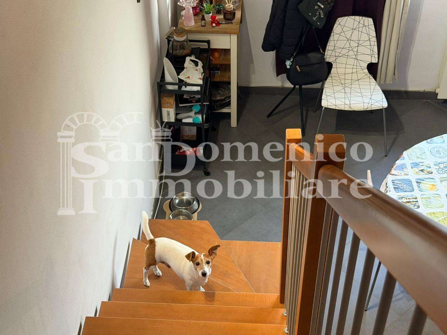  - foto 3