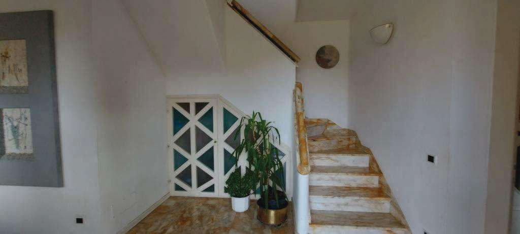  - foto 12