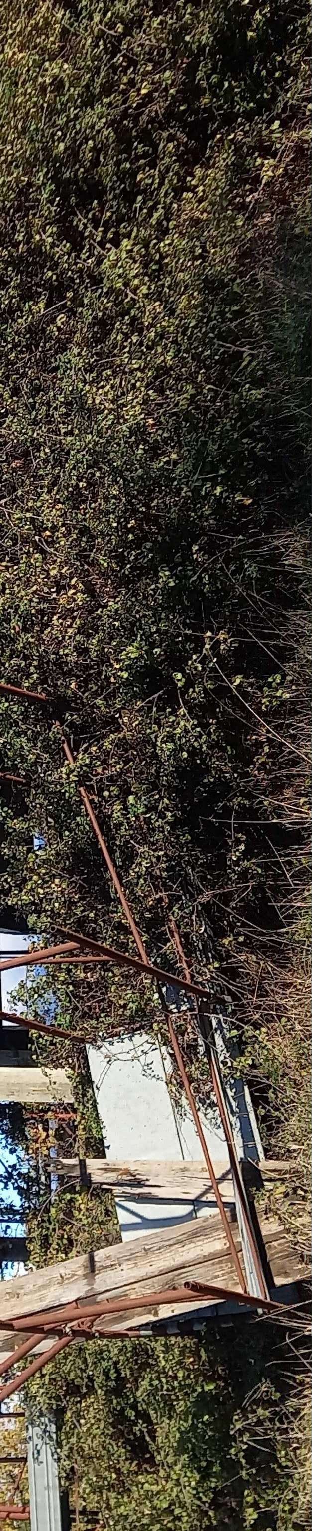  - foto 15