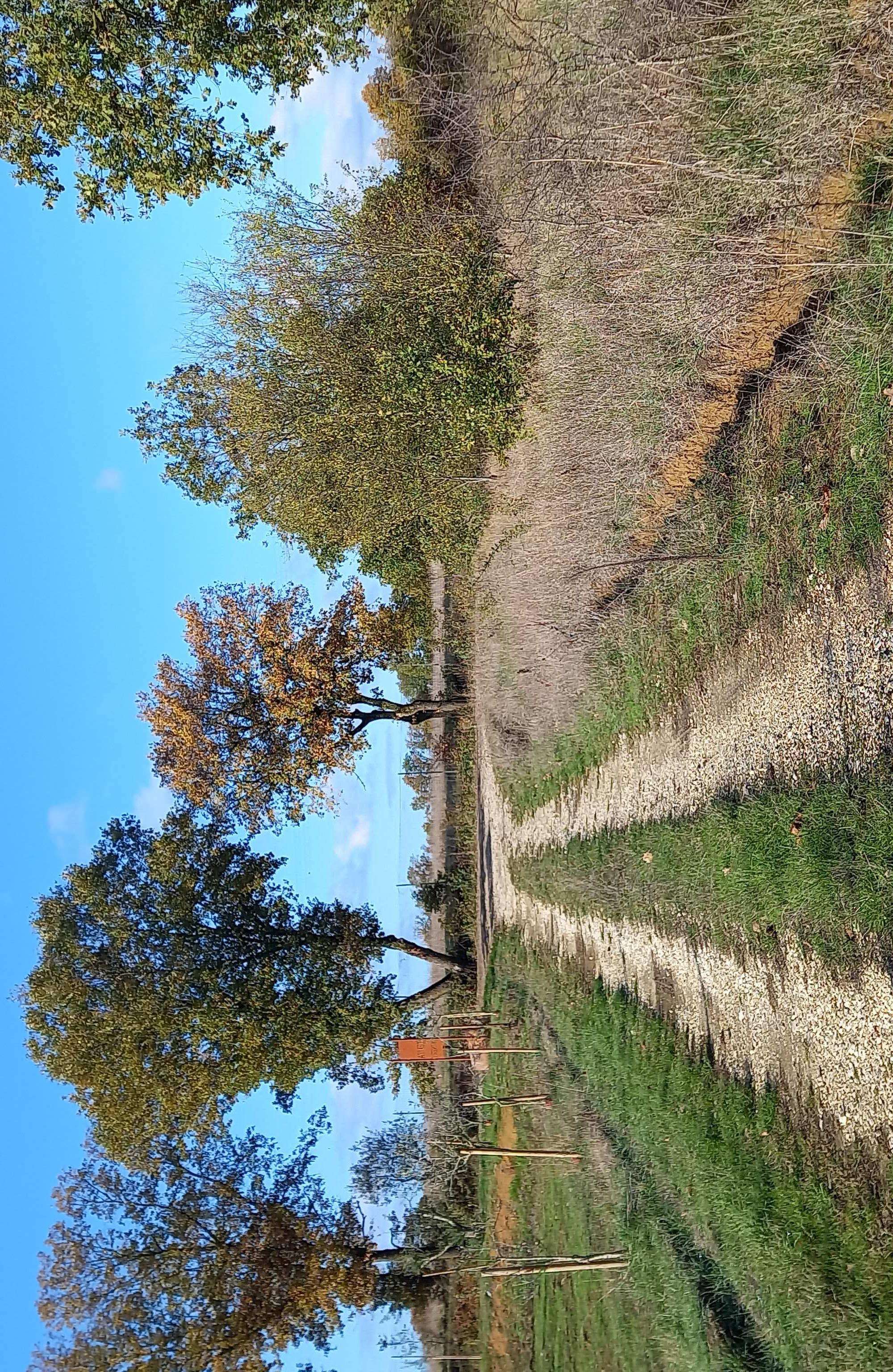  - foto 19
