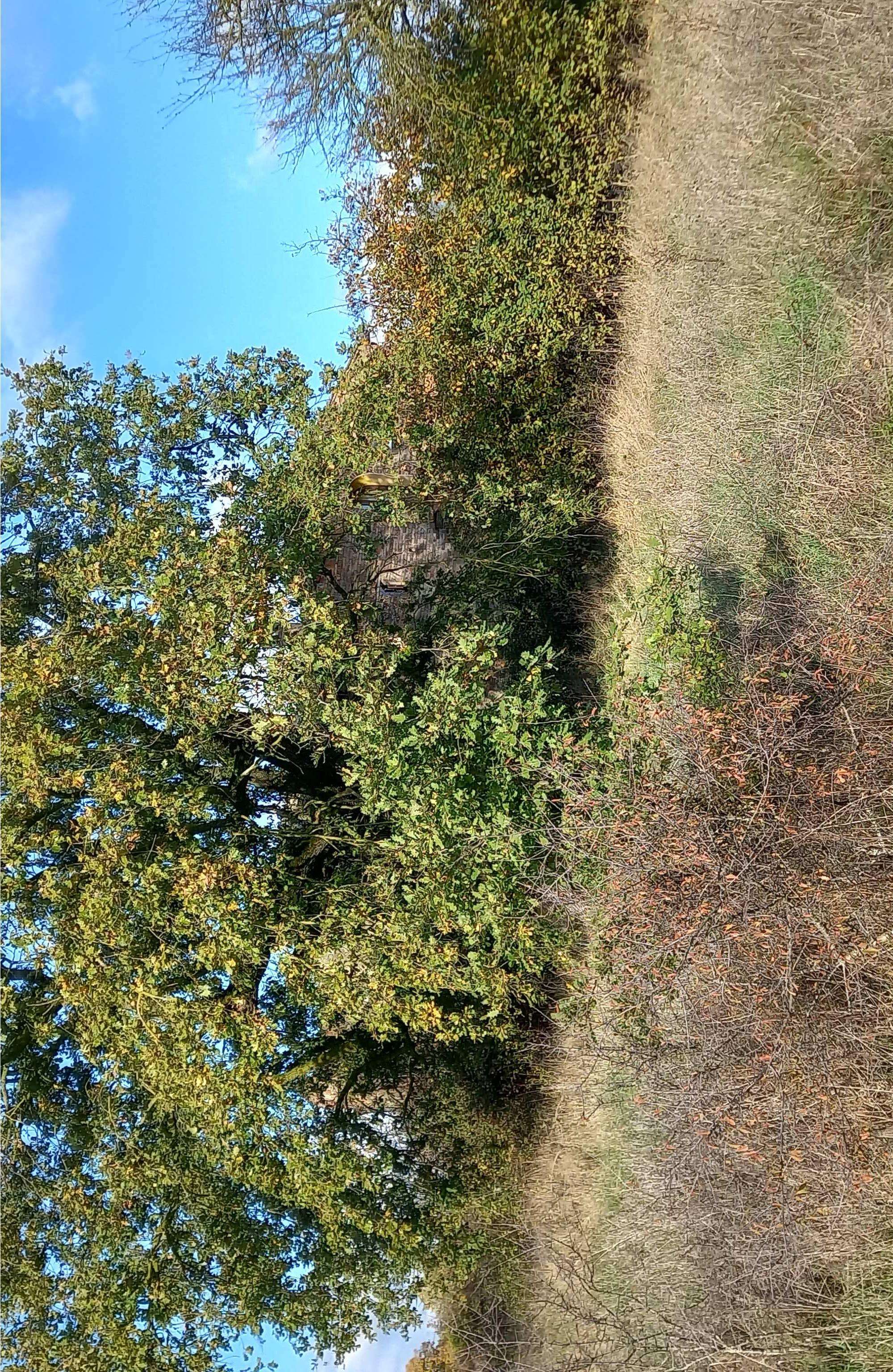  - foto 22
