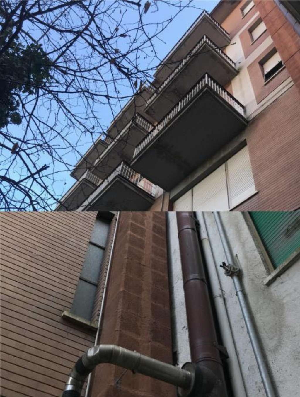  - foto 19