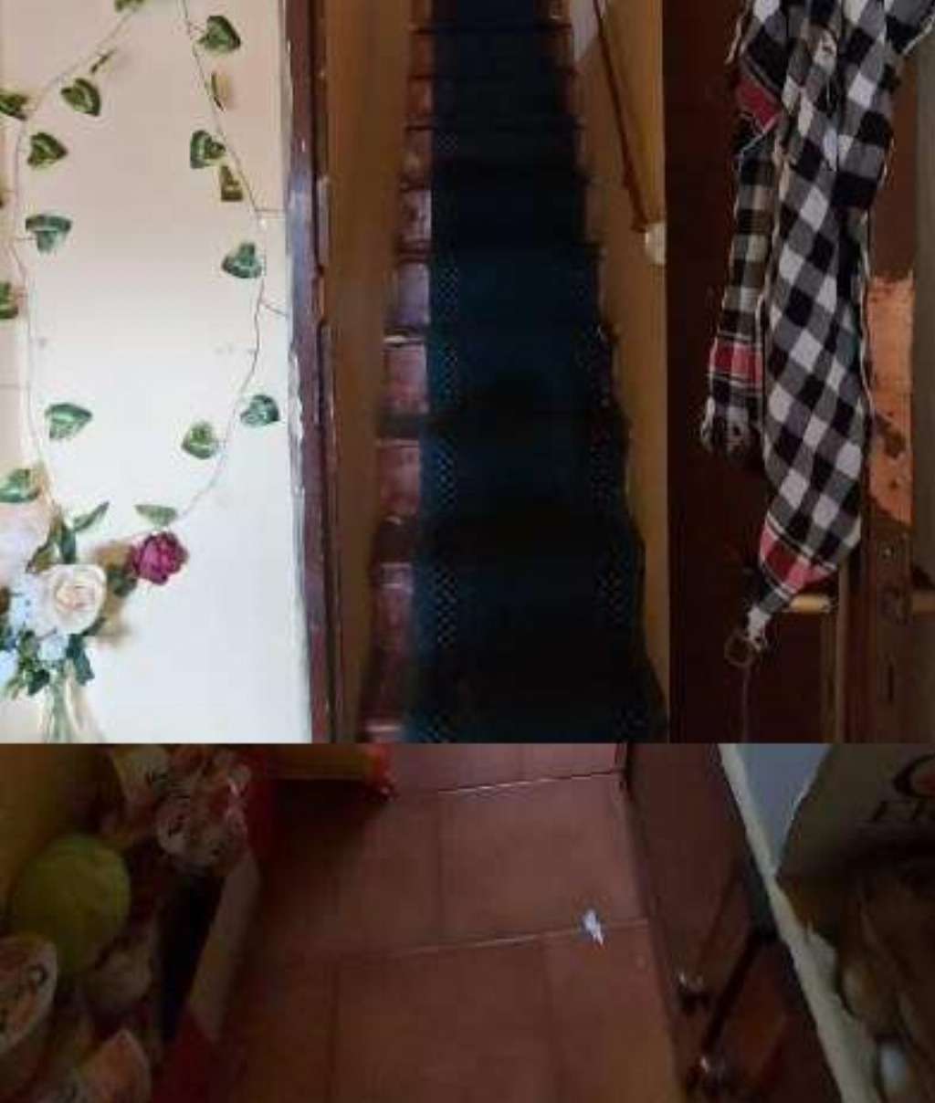  - foto 20