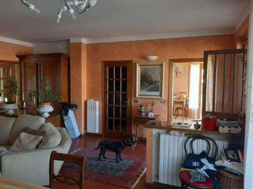 - foto 21