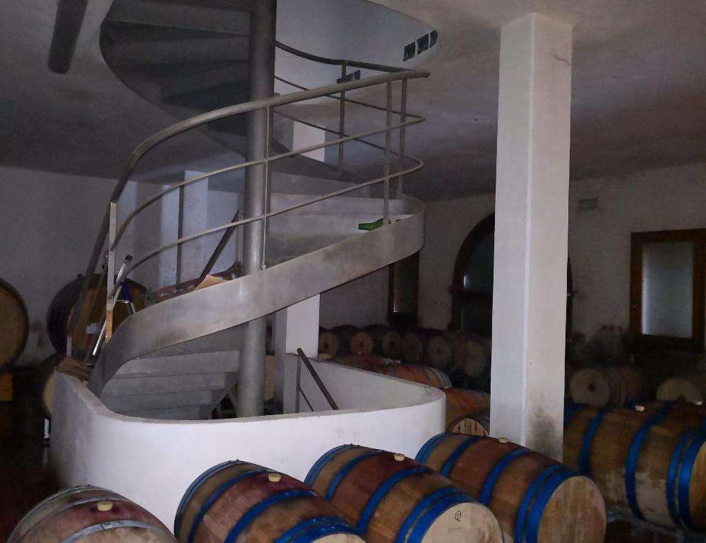  - foto 21