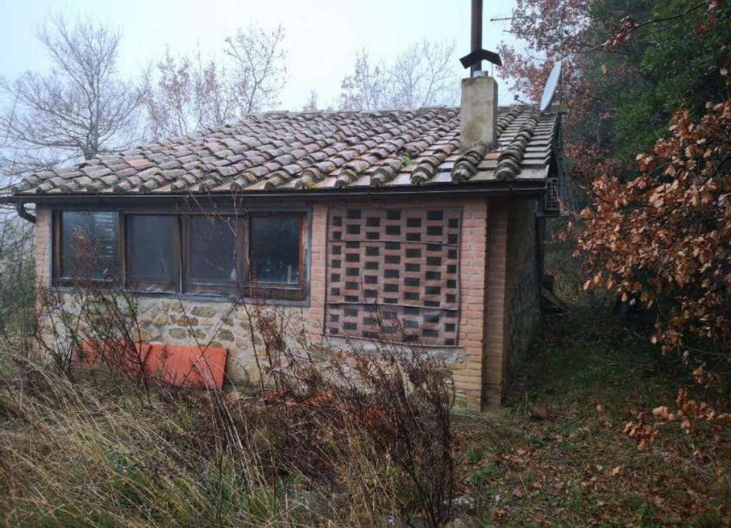  - foto 5