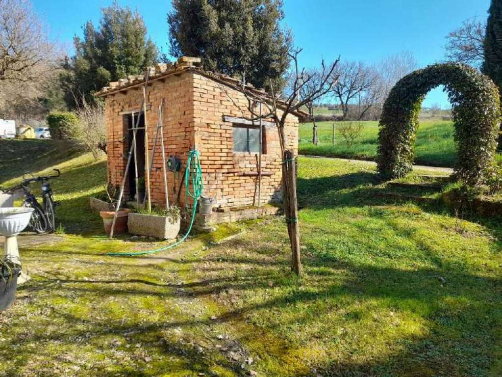  - foto 12