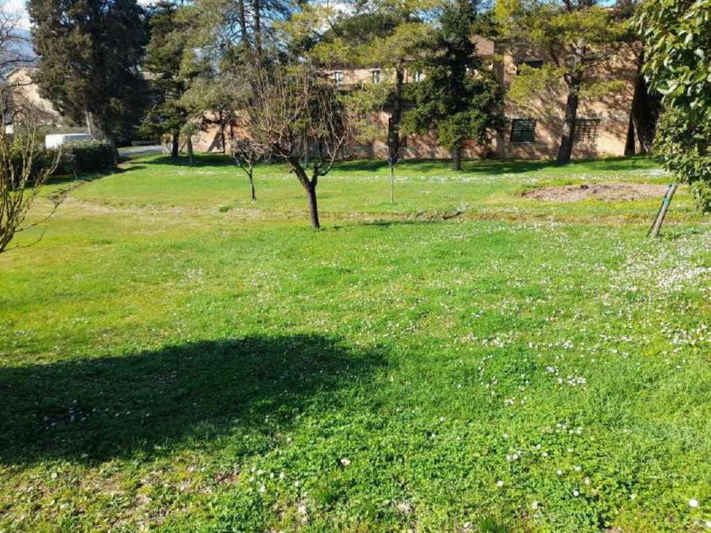  - foto 13