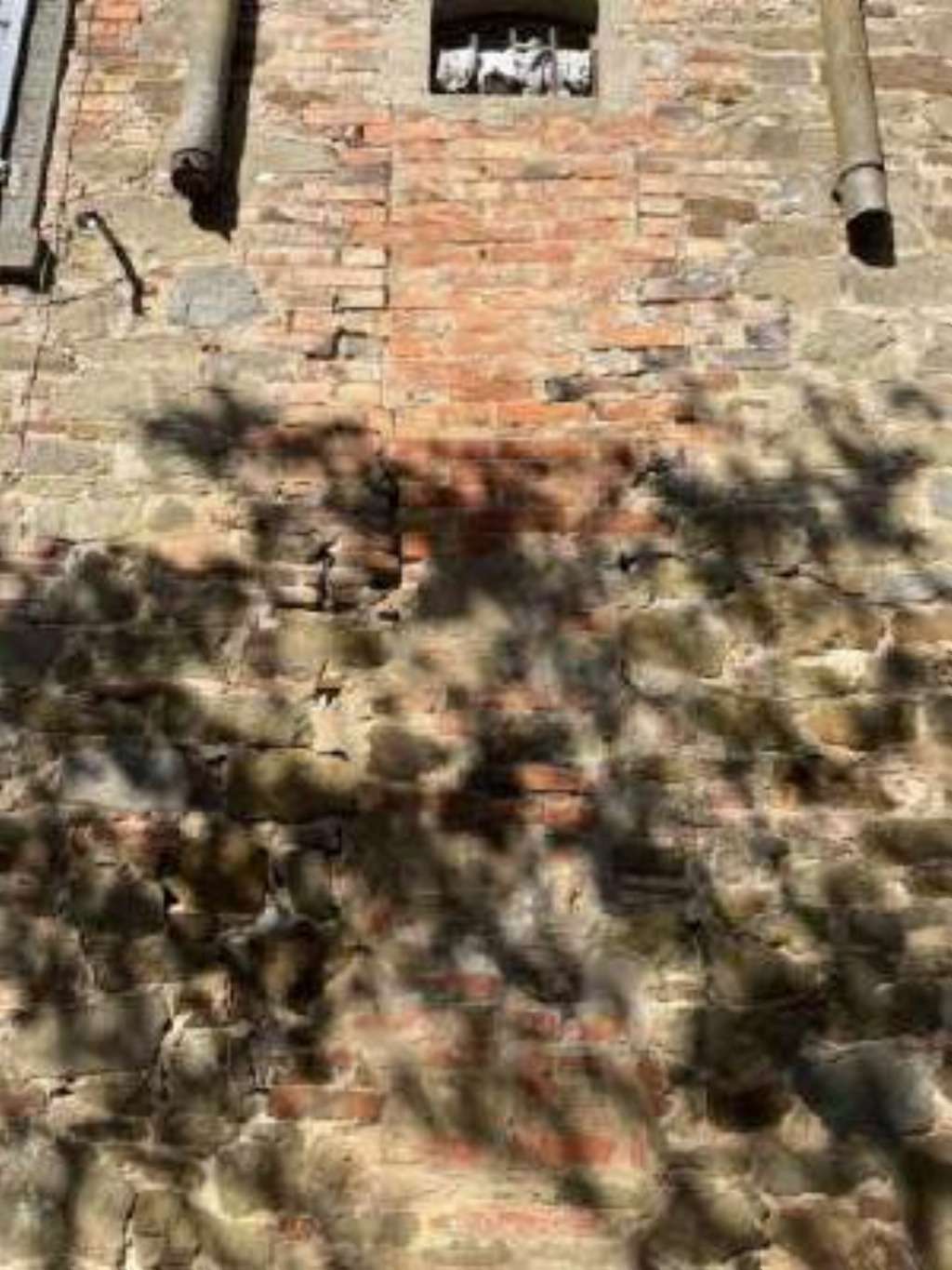 - foto 13