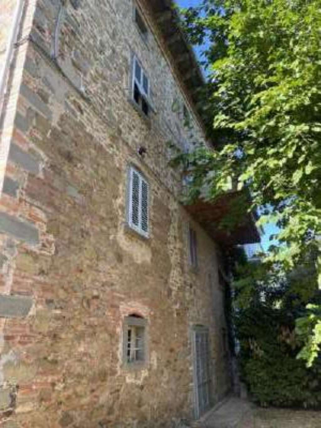  - foto 14