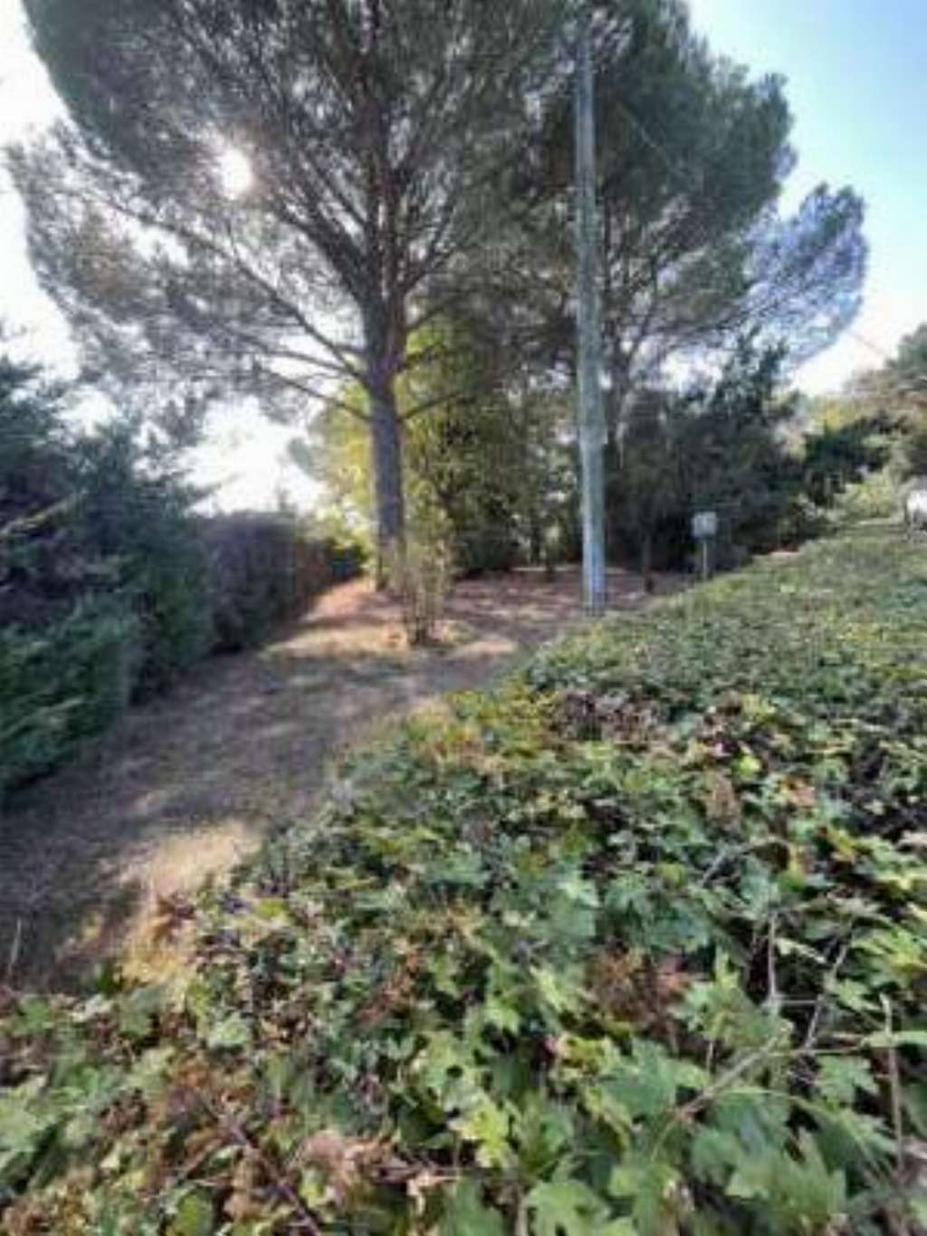  - foto 6