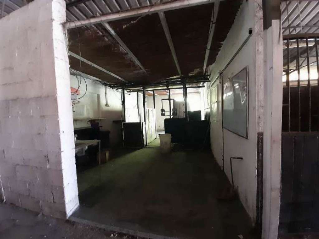  - foto 10
