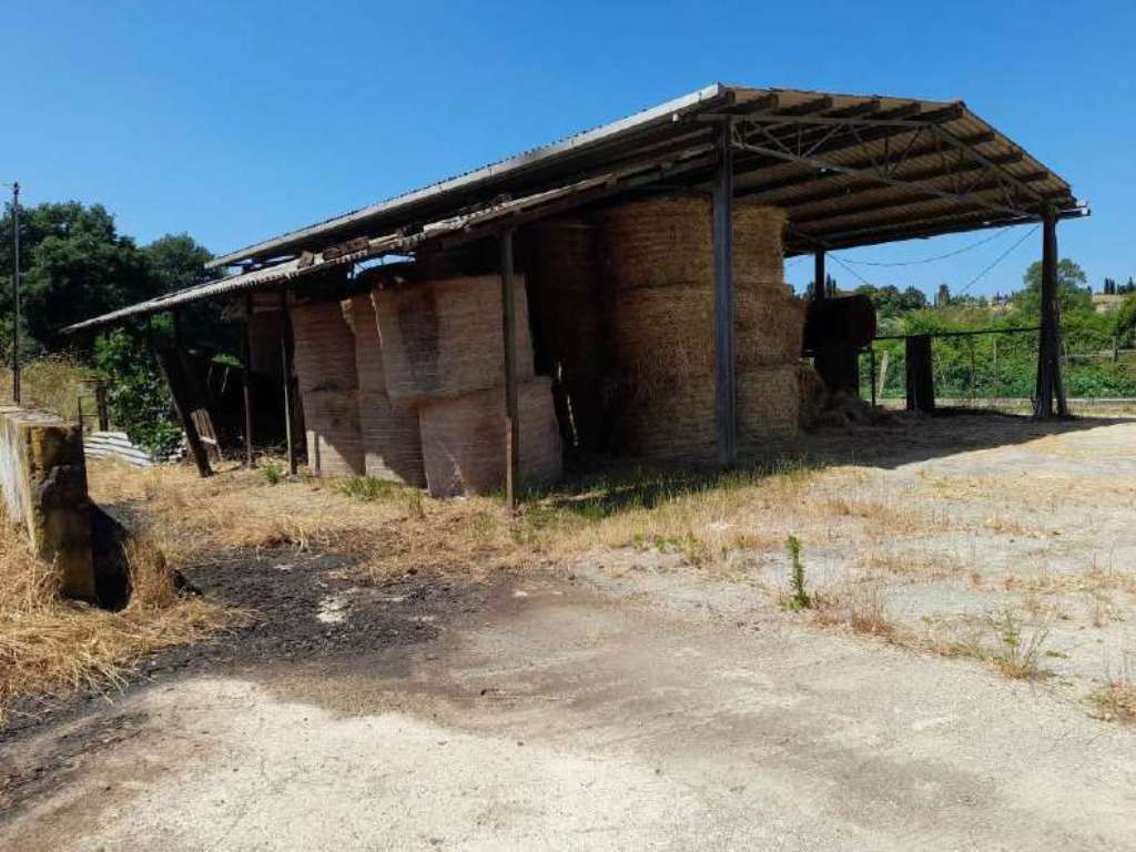  - foto 14