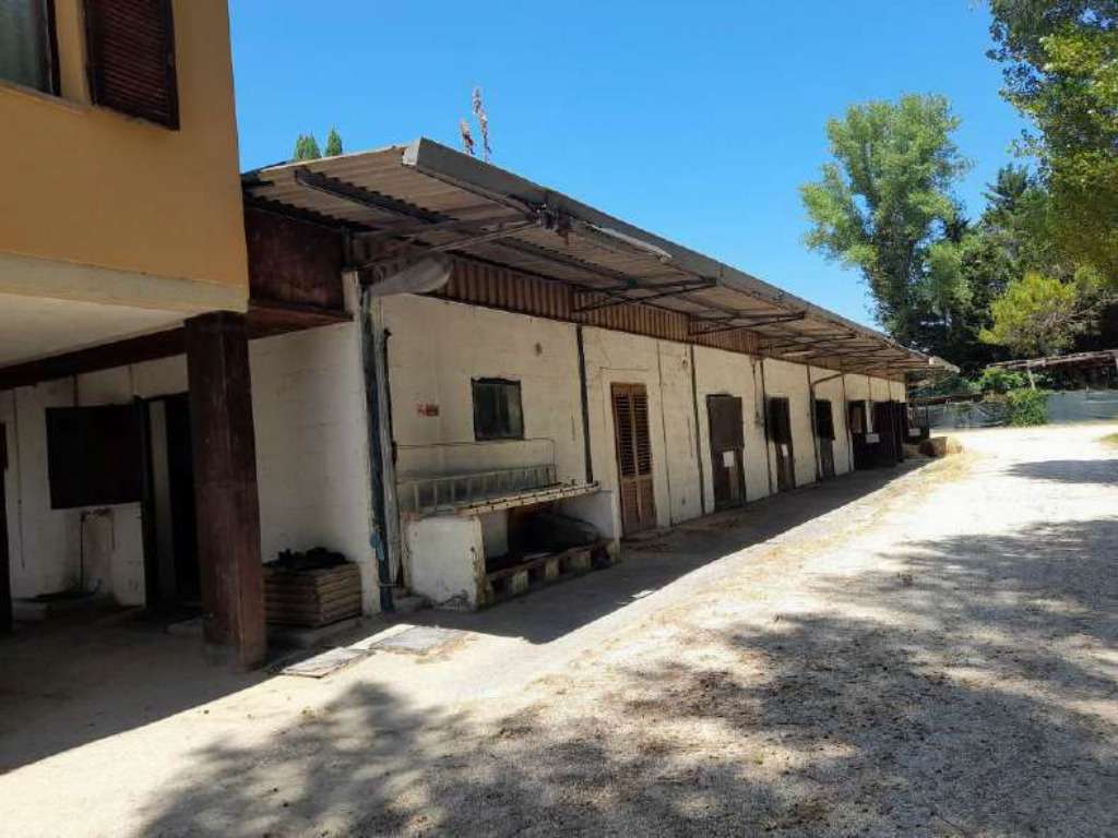  - foto 4