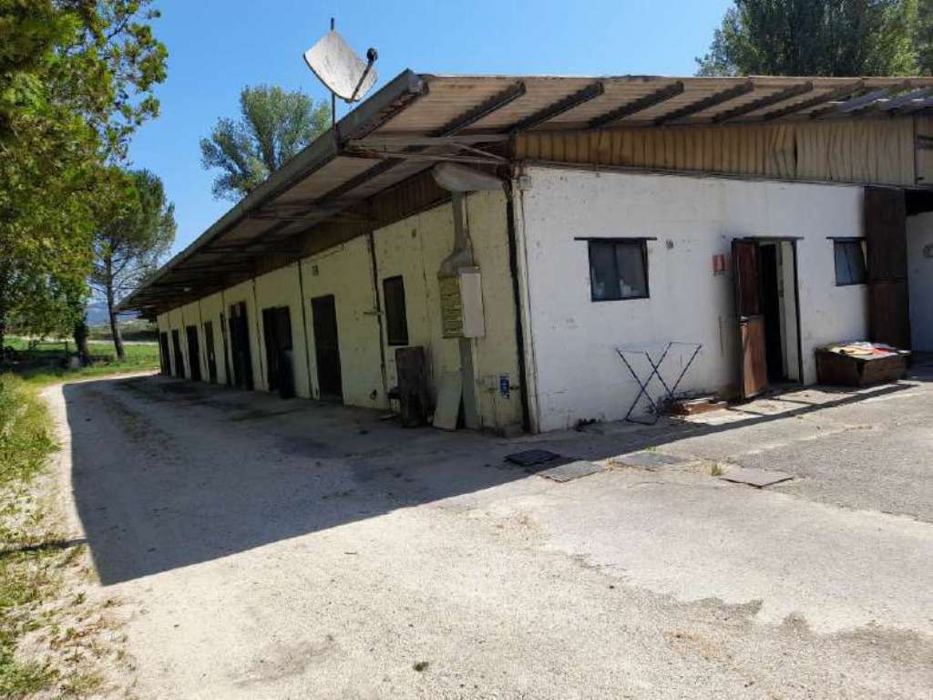  - foto 5
