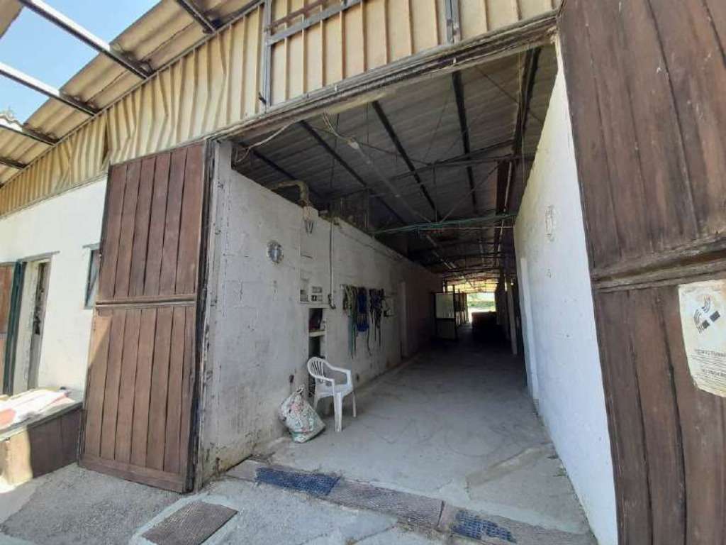  - foto 6