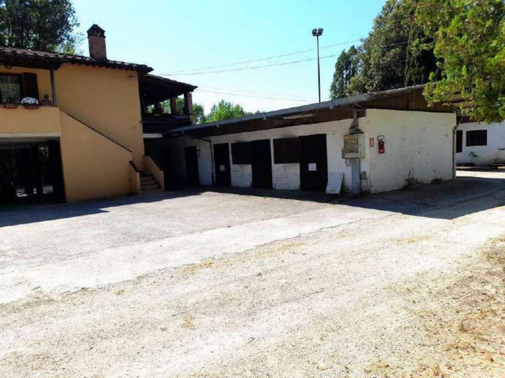  - foto 8