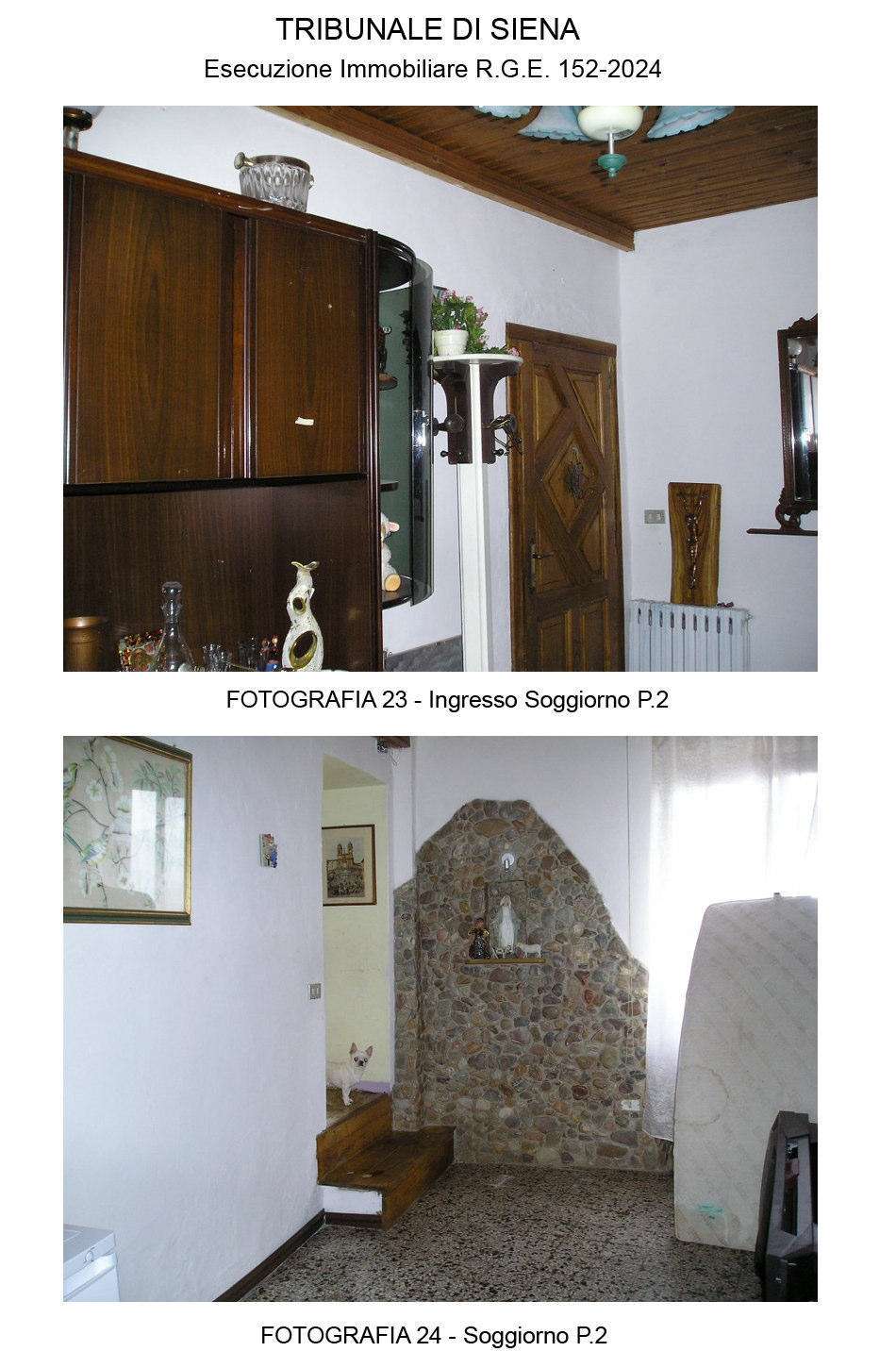  - foto 14