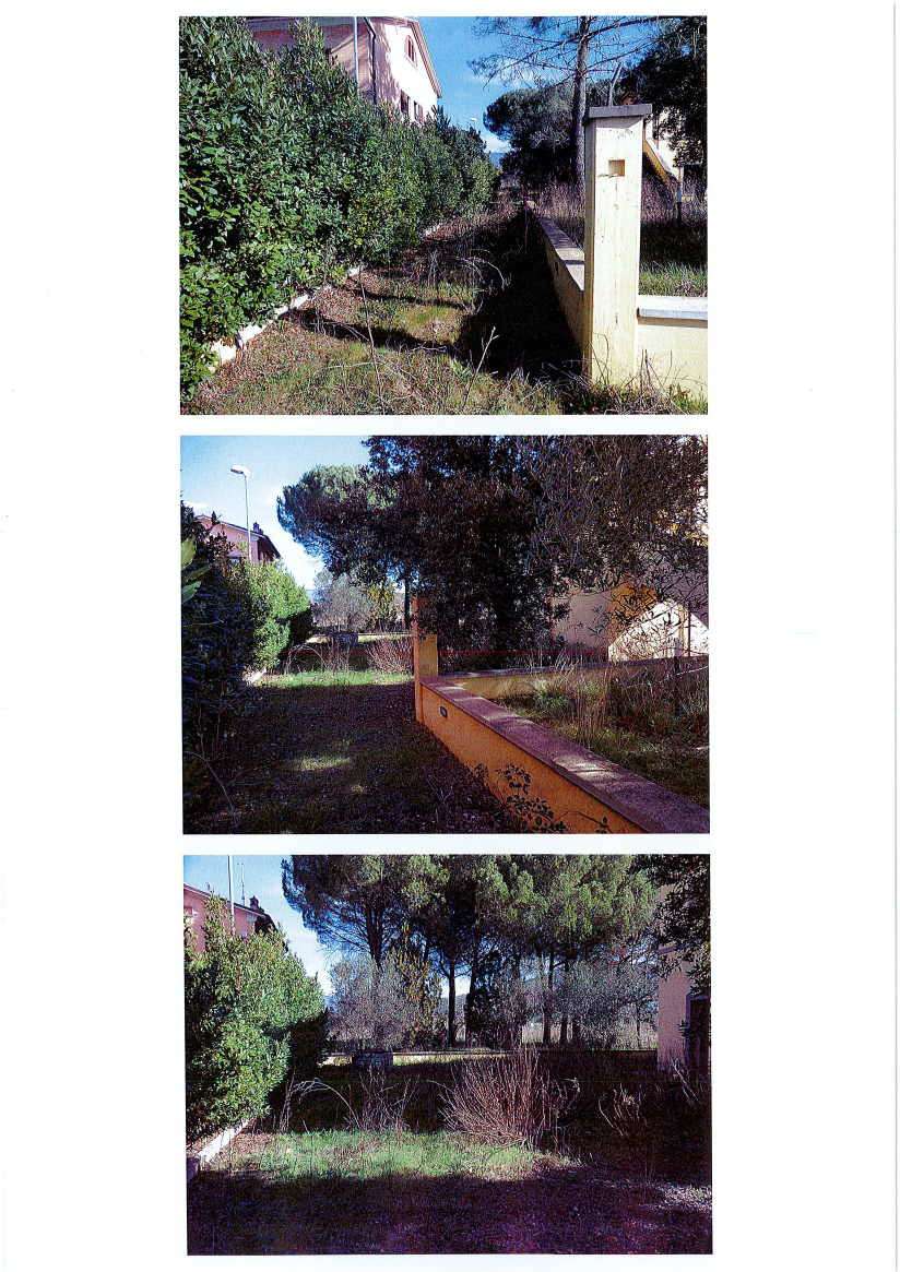  - foto 13