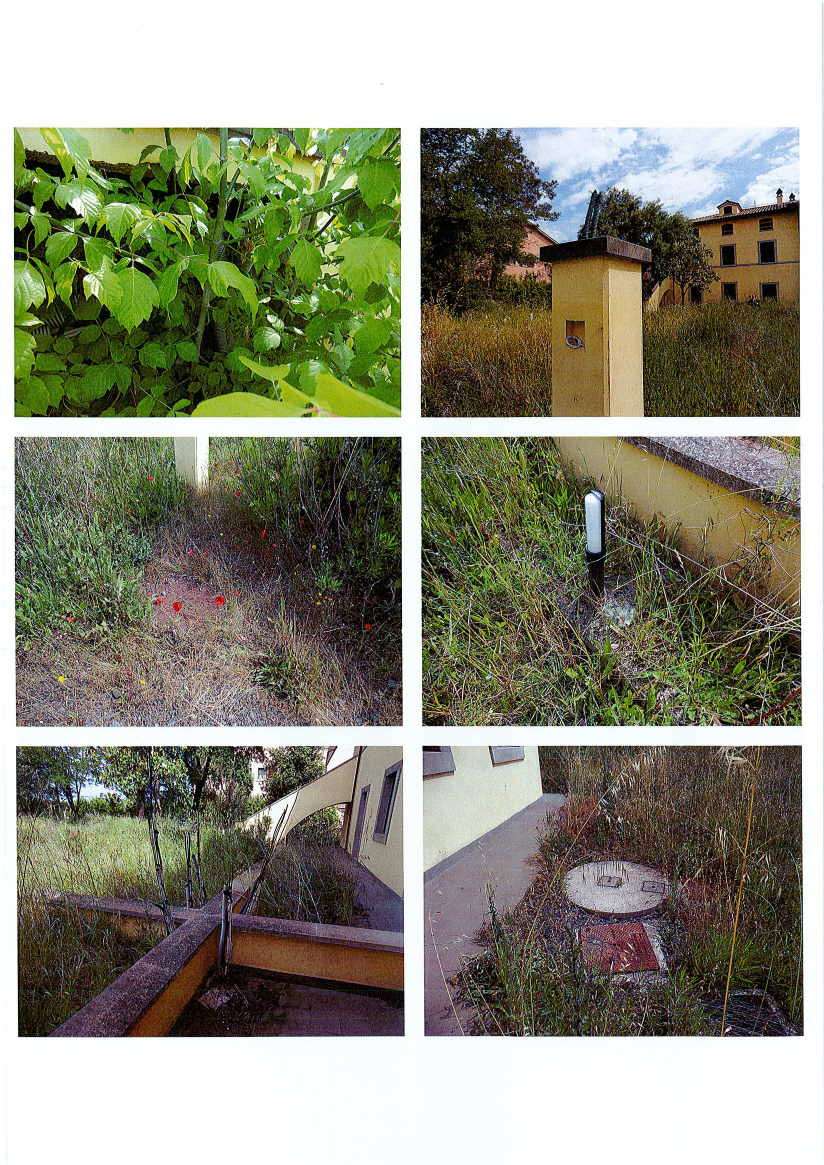  - foto 16