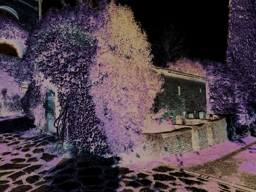  - foto 7