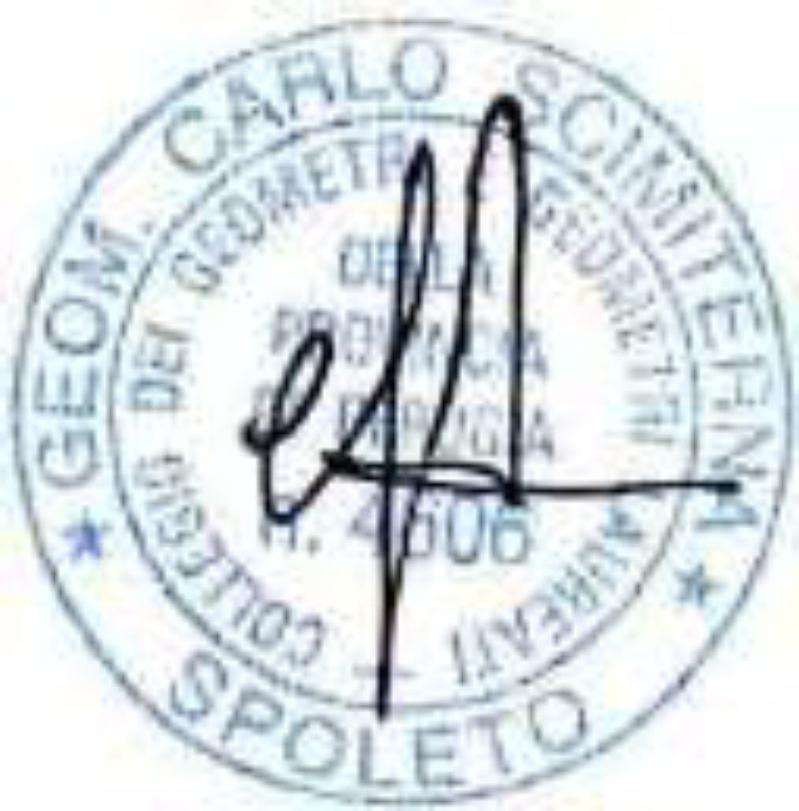  - foto 13