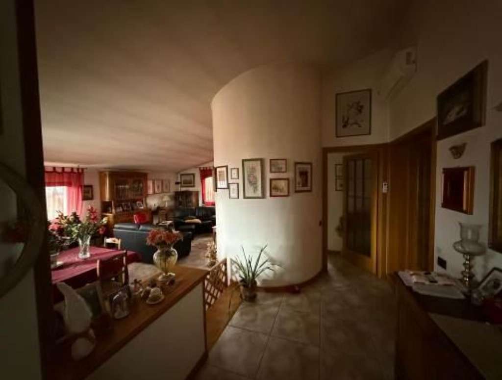  - foto 13