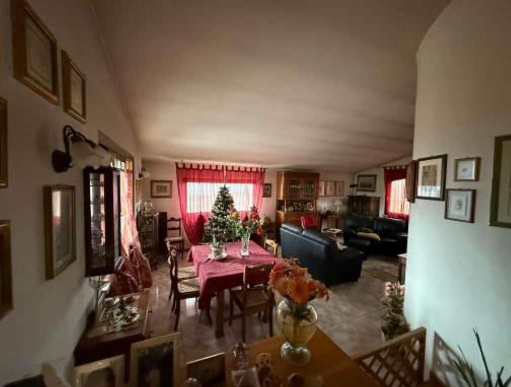  - foto 14
