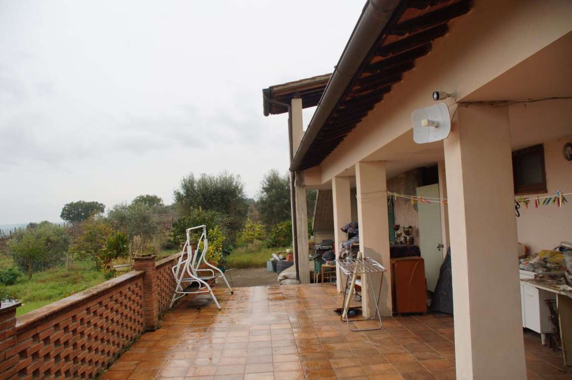  - foto 19