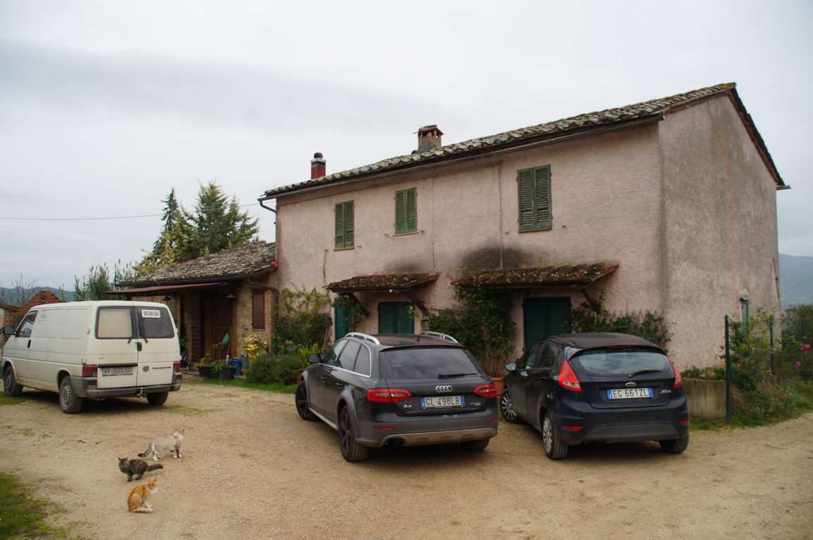  - foto 5