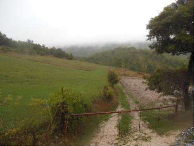  - foto 10