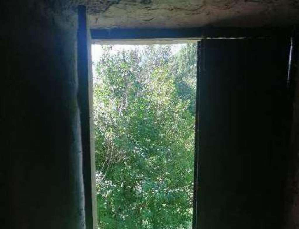  - foto 19