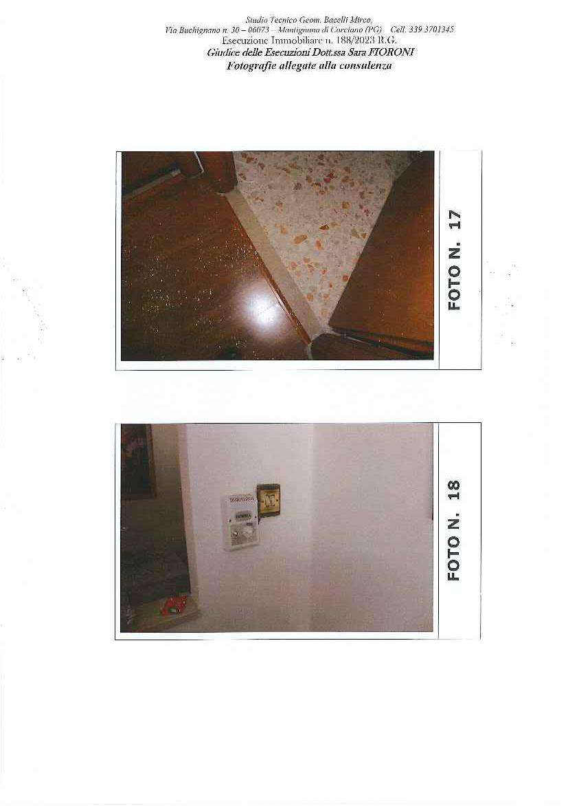  - foto 11