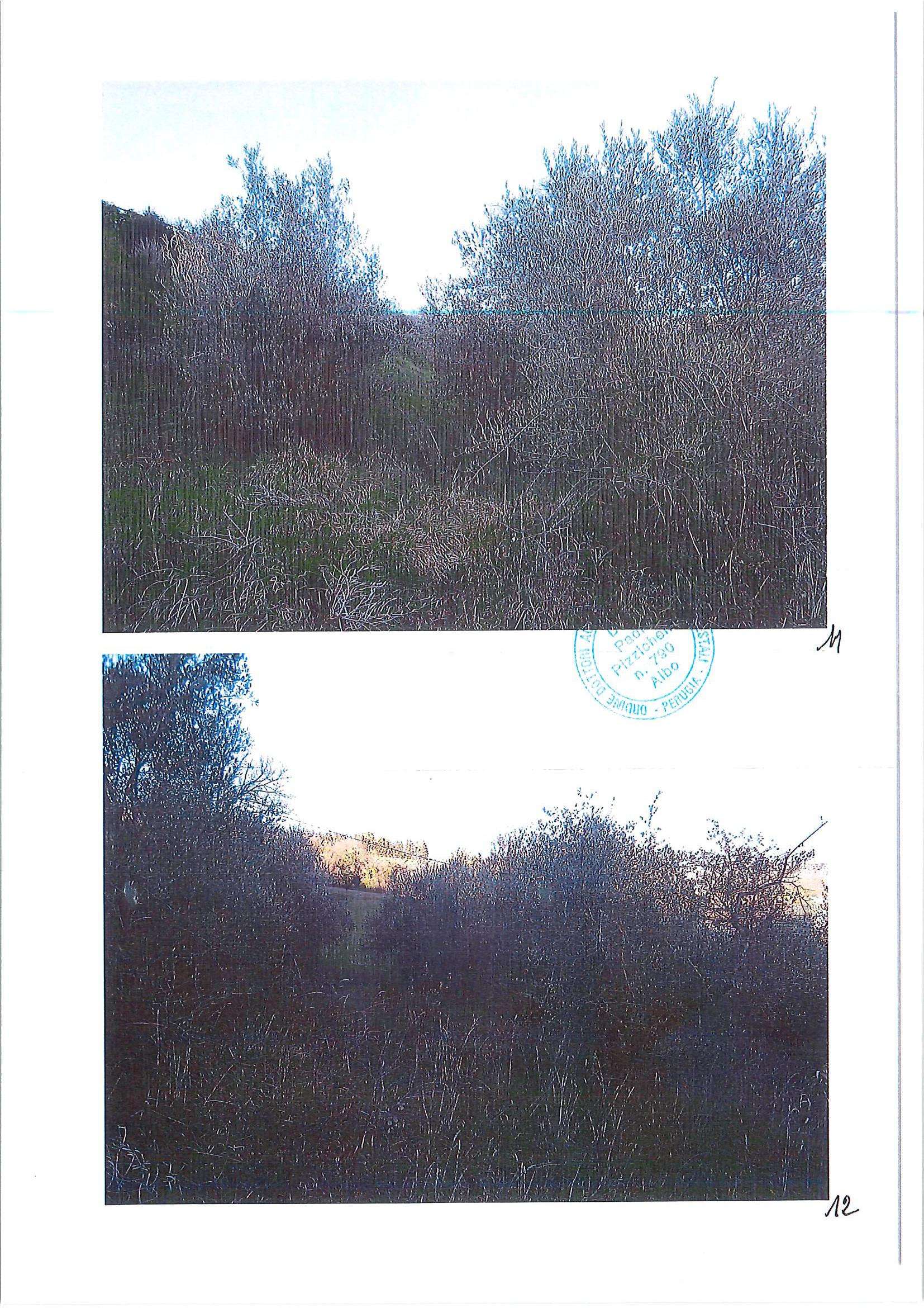  - foto 11