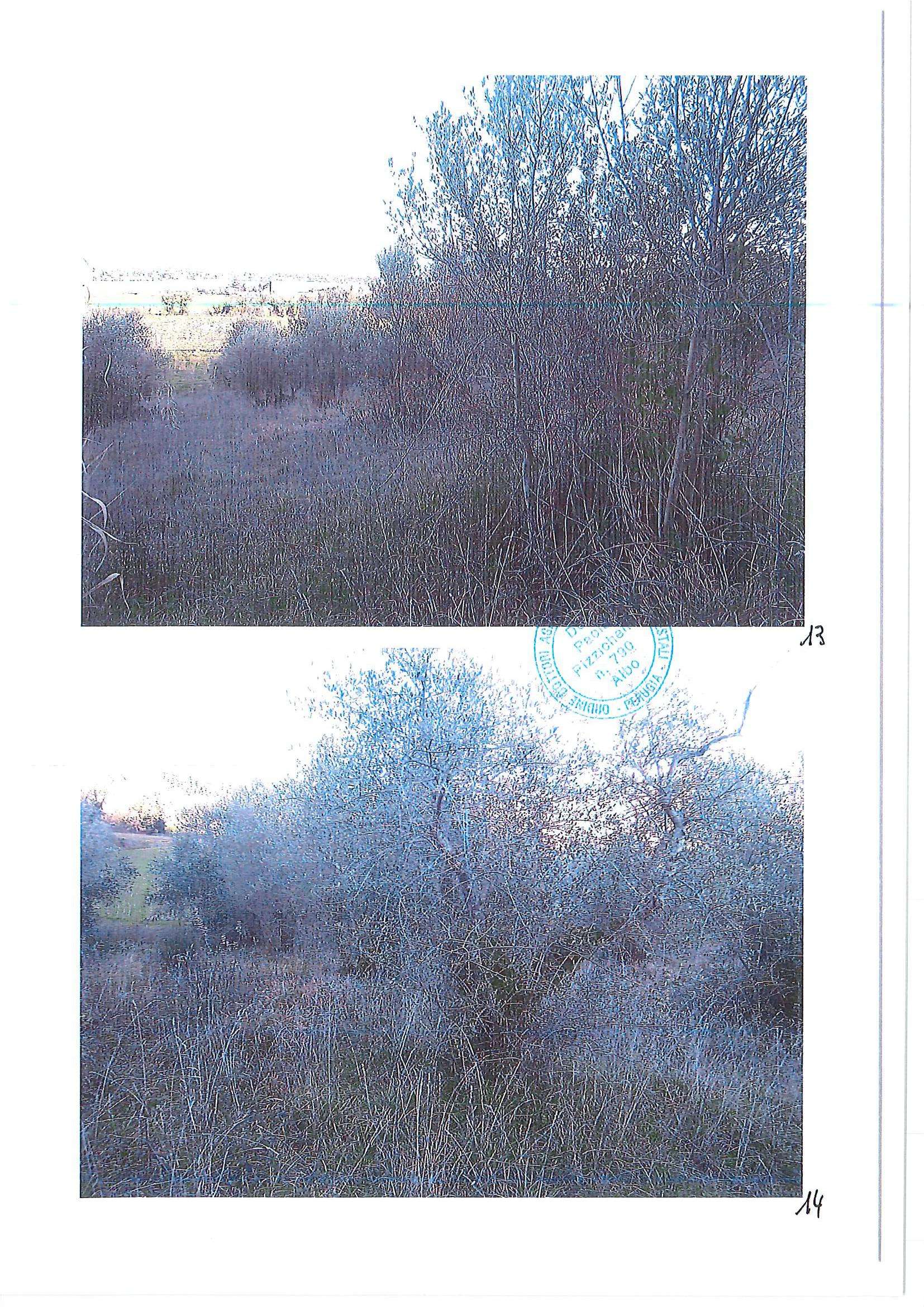  - foto 12