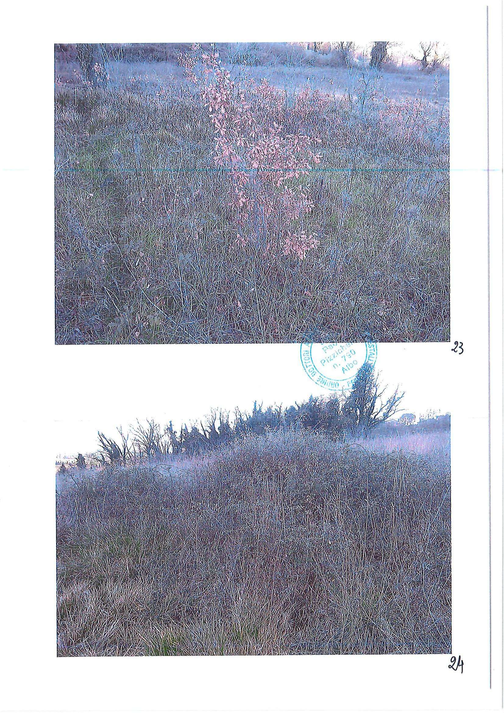  - foto 17